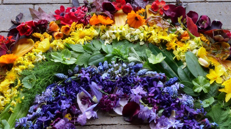 A rainbow created using cut flowers and leaves